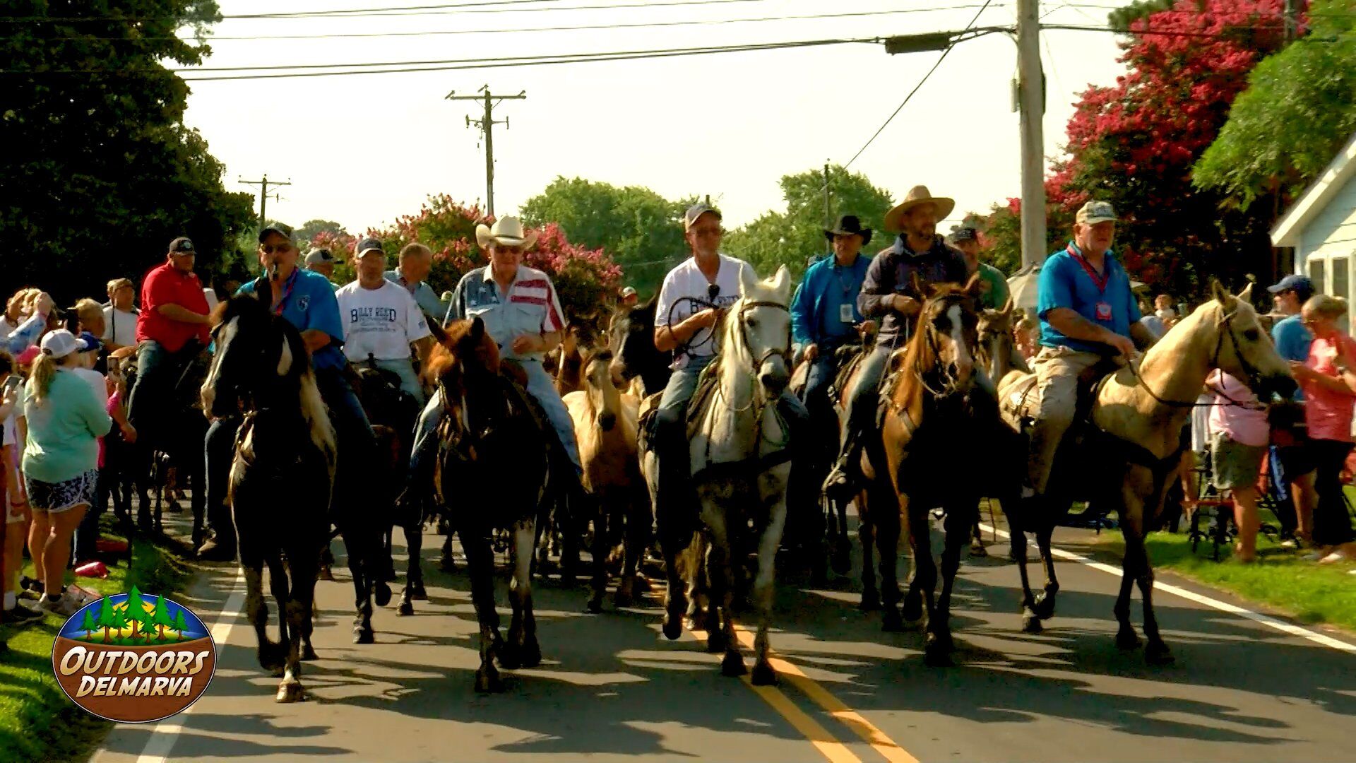 The Outdoors Delmarva 100th Chincoteague Pony Swim Special - Part 4: The Parade and Auction Day